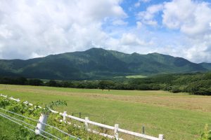 img_3237