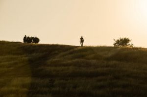 silhouette-1258121_960_720